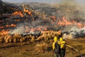 Incendios forestales en Corrientes